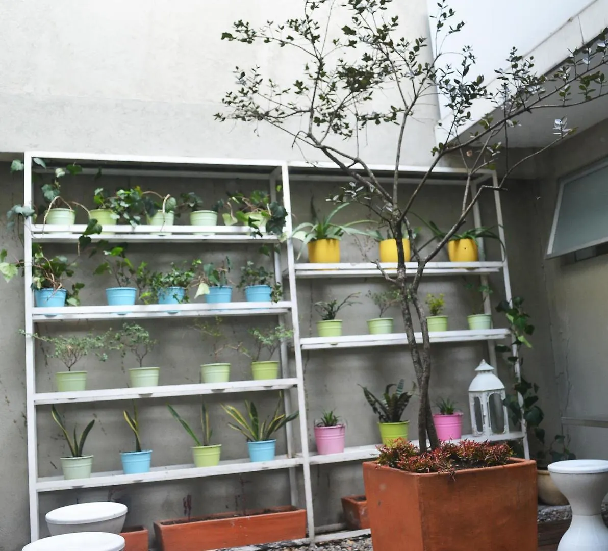 Hotel Living 55 Μπογκοτά